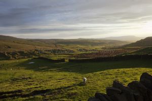 oakworth evening sun sm.jpg